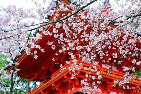 日本的二月是什么季节