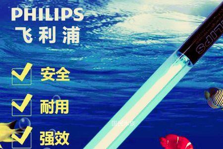 鱼缸杀菌灯几天开一次比较好