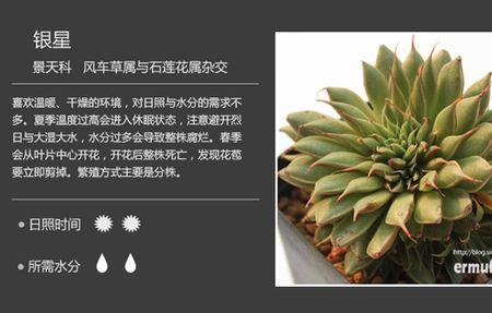 植物的特点都包括什么