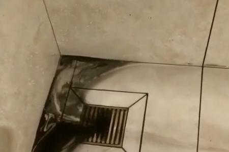 卫生间地漏分管怎么更换