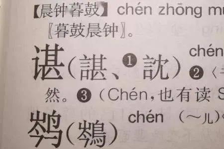 谌筱读音