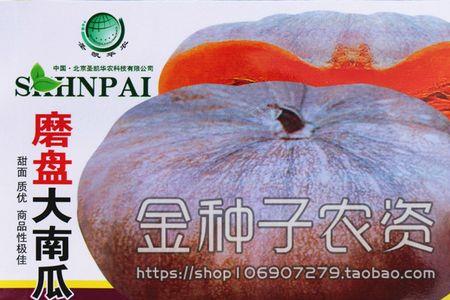 产籽量最好的南瓜品种