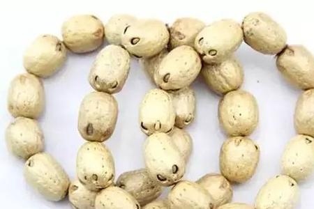 油甘果核能做手串吗