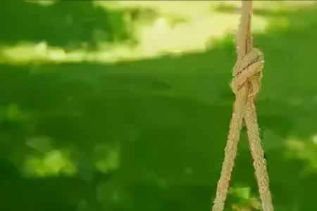 愿你耳畔清风什么意思