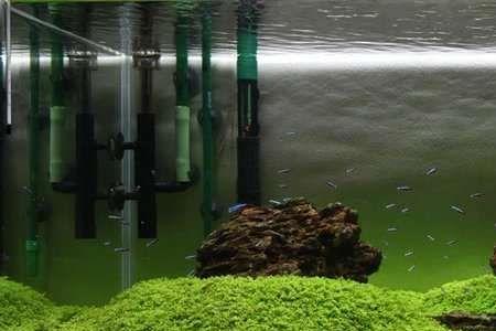 4L的水草泥有多重