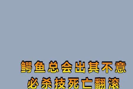 出其不意猛攻击是什么动物