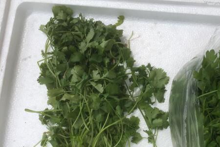 香芹菜和香菜有什么不同