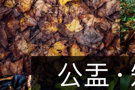 翻毛腔什么意思