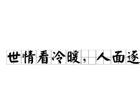 不甚理想释义
