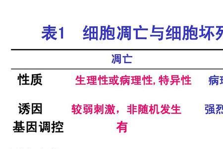 细胞凋亡是发生在什么时期