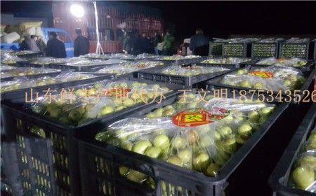 鲜枣在零下20度冷库储存多久