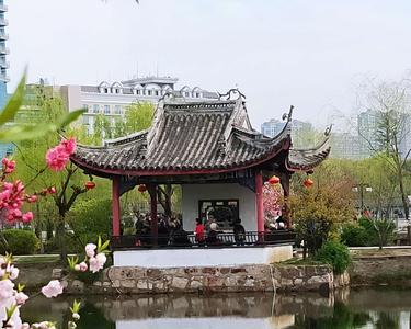 桃花柳绿映春辉是什么生肖
