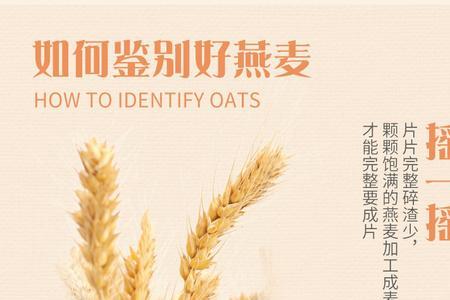 快熟燕麦片和燕麦原片区别