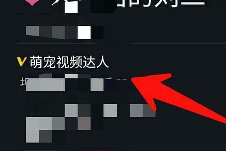 抖音里的黄赞是什么意思