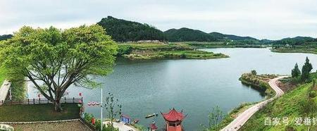 清水塘钓鱼最佳地点