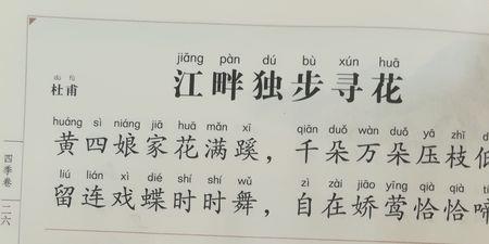 江畔独步寻花的意思在20字以内