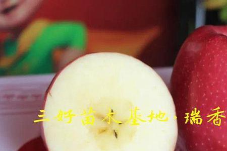 瑞香红苹果的优点和缺点