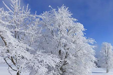 雪为什么是凉的
