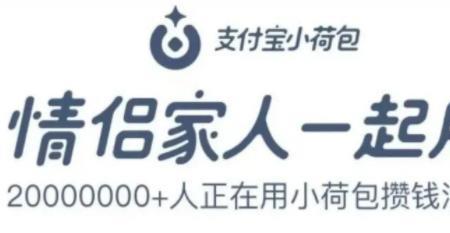 支付宝小荷包为什么转不进去