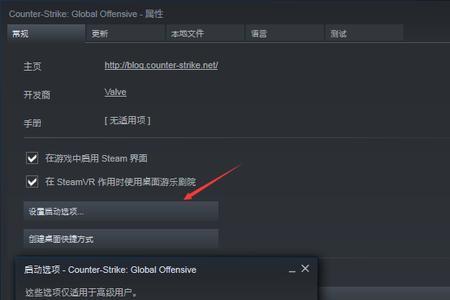 steam国际服是啥