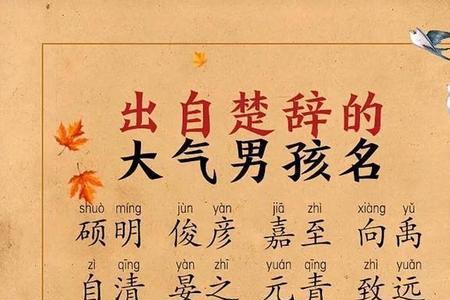 沐桐的名字含义
