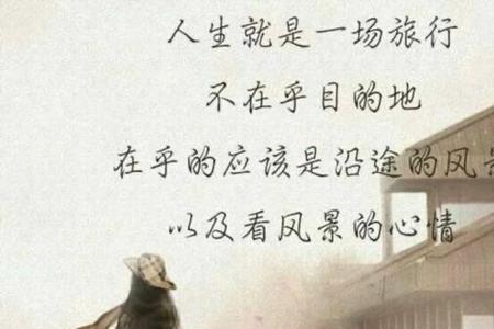 往事归零重新相识什么意思