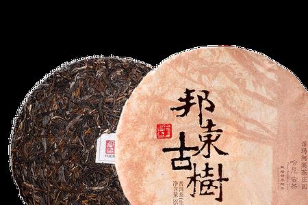 云南大叶种晒青毛茶是白茶吗