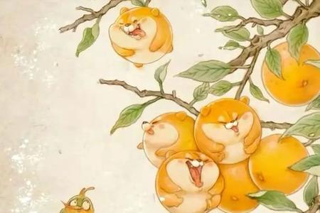 桔月初一是什么意思