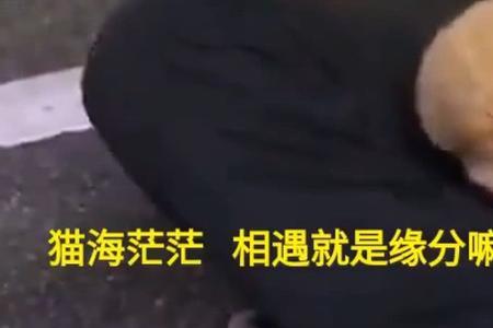 趴一下是什么意思