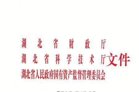 国有中一型企业是什么意思