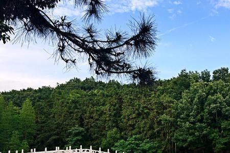 武汉三山是哪三座山