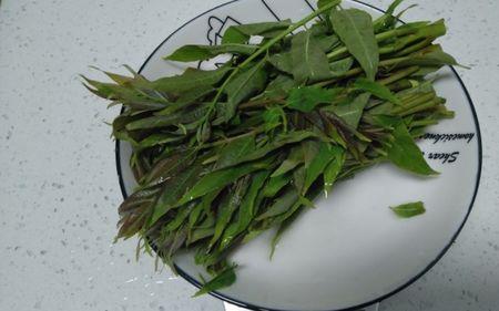 蒜苗炒香椿窍门