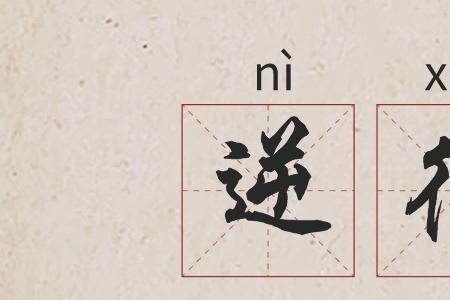 描写不寻常举动的词