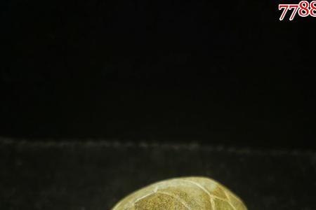 龟甲的寓意和象征