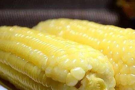 给小鹿呼玉米和大豆吃可以吗