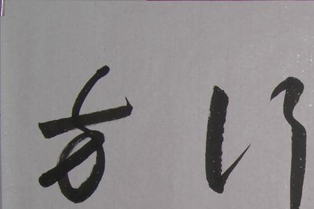 朱有瑞简介