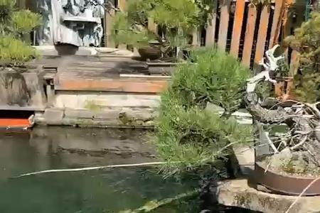 如鱼得水好自在