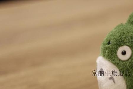 龙猫可以吃橡子吗