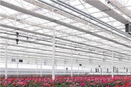2022年建种植大棚补贴