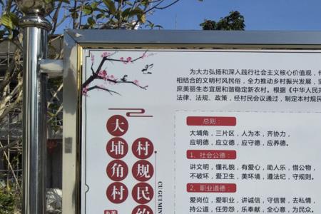 居民公约和村规民约的区别