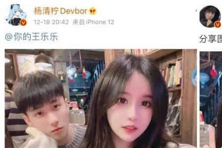 清柠是什么意思