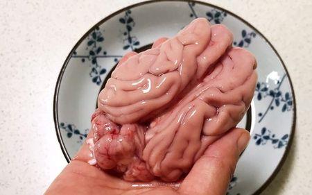 猪脑的家常做法