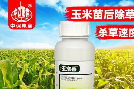 玉米地喷什么杀菌最好