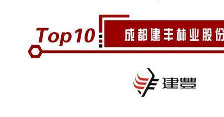 建丰林业股份有限公司是国企么