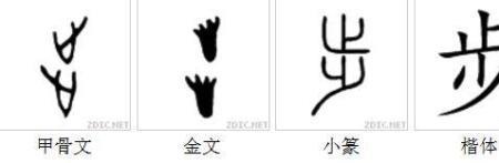 一个足字旁加一个扁读什么