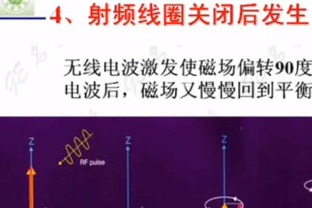 正激磁复位绕组原理