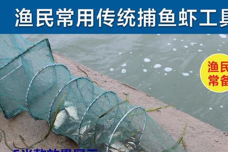 夜间下鱼笼能逮到小鱼小虾吗