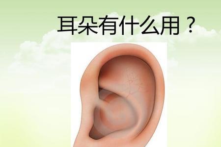 一个赤一个双包尔读什么