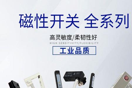 两芯磁性开关的灯怎么亮的