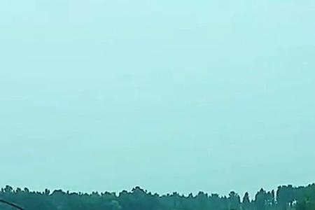 吊鱼什么意思